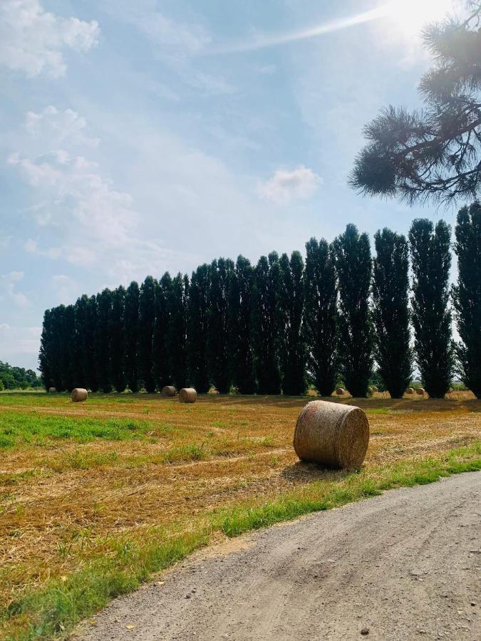 Appartamento Tra Verde E Citta Bologna Exterior photo